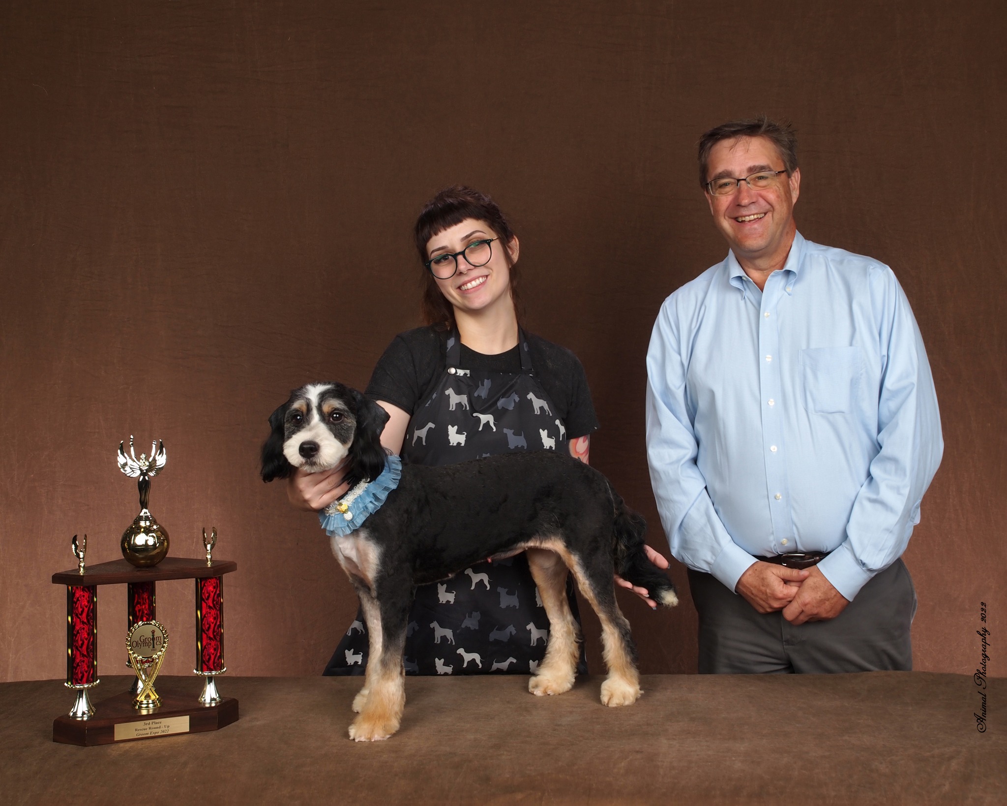 Pet Care Shop -Pet Care Shop 312001131 5776383625759878 7693854987632689758 n