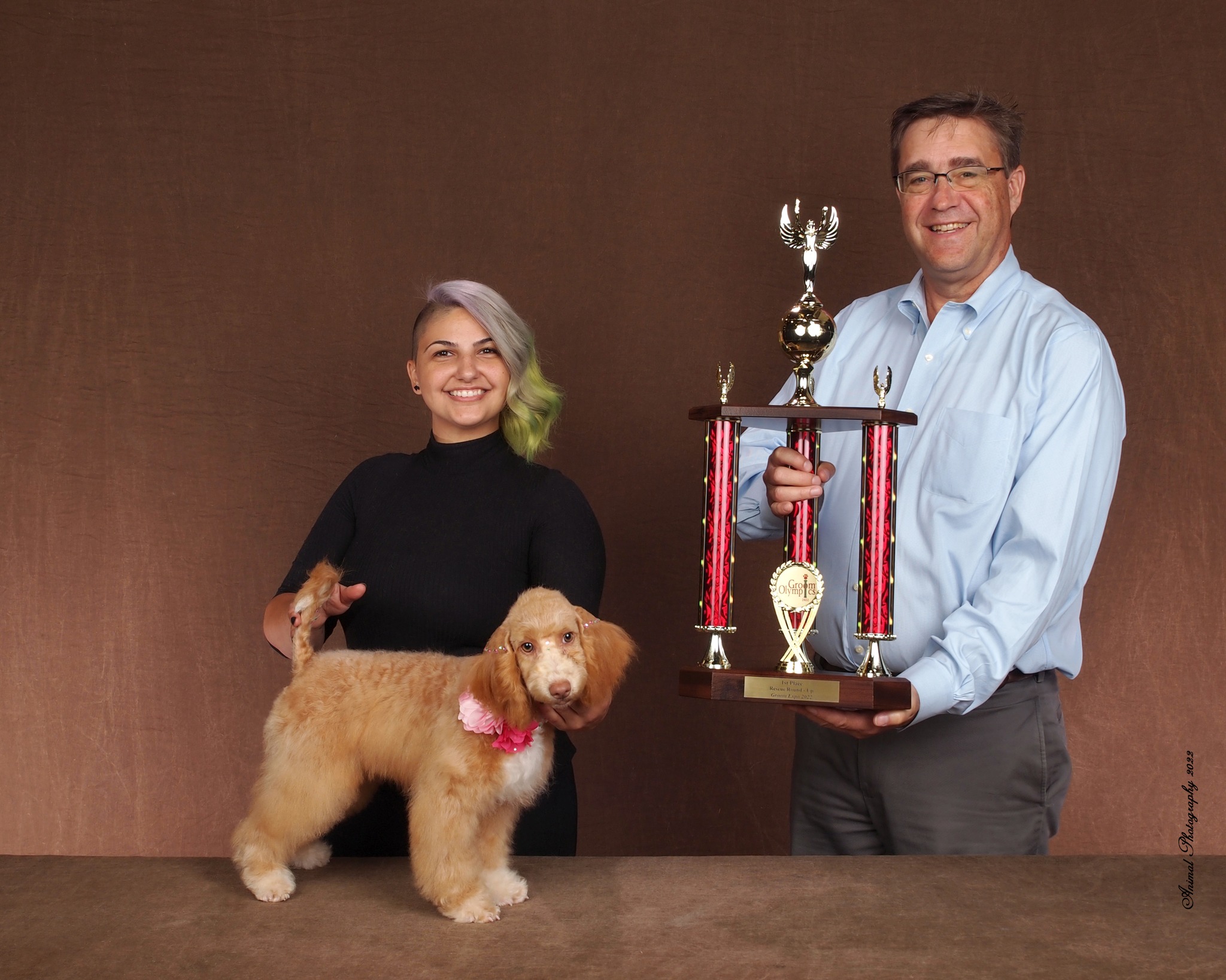 Pet Care Shop -Pet Care Shop 312288024 5776383662426541 3284518487543038767 n