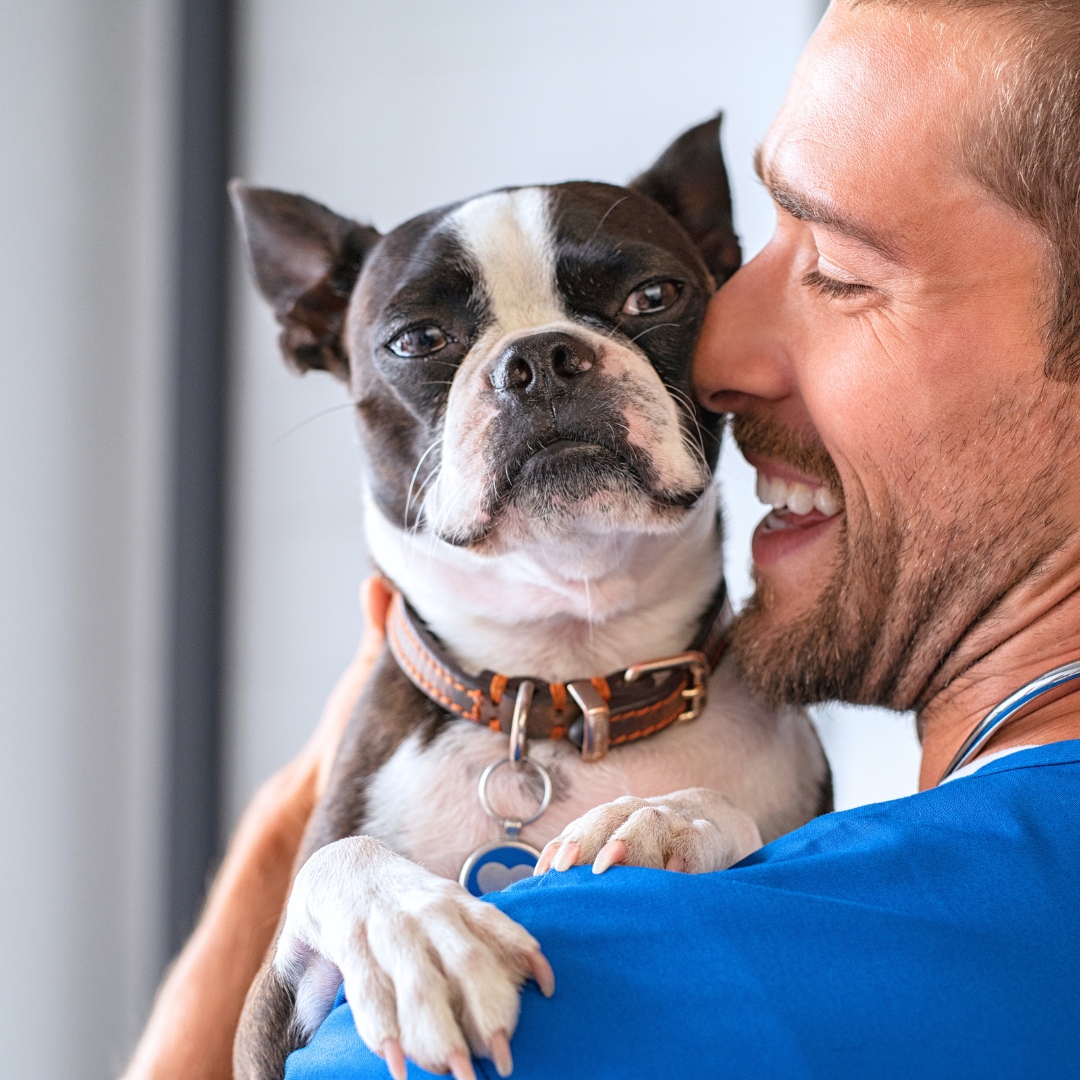 Pet Care Shop -Pet Care Shop 391737000 725711239590106 3490425043648274876 n