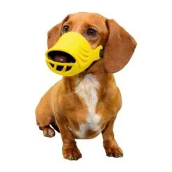 Artero Silicone Muzzles Set Of 4 -Pet Care Shop amuzzle 2 1 1