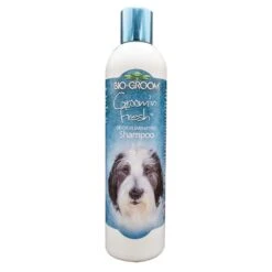 Bio-Groom Groom 'N Fresh Conditioning Shampoo 3 Bio-Groom Groom 'N Fresh Conditioning Shampoo -Pet Care Shop bg280 12 groom n fresh 12oz 2