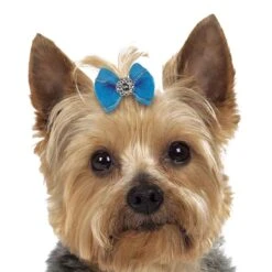 Aria Maddie Dog Bows Canister, 100 Pcc -Pet Care Shop dt056 99 003 1