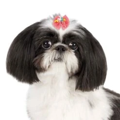 Aria Bonita Bows 100 Count -Pet Care Shop dt1020 99 003