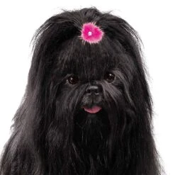 Aria Sparkle Feather Bows 100-Piece Canisters -Pet Care Shop dt1058 99 006