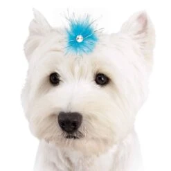 Aria Sparkle Feather Bows 100-Piece Canisters -Pet Care Shop dt1058 99 007