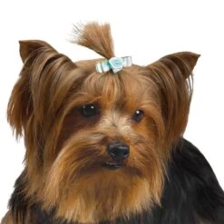 Aria Tiny Bows With Rosettes Canister 100Pc -Pet Care Shop dt159 99 005