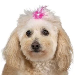 Aria Feather Bow Canister 100Pc -Pet Care Shop dt160 99 007