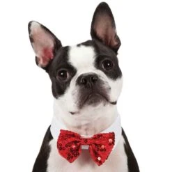 Aria Red And Black Bowtie Clip Strips 12-Piece -Pet Care Shop dt5210 12 1