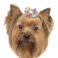 Aria Zoey Bows Canister, 48 Pc -Pet Care Shop dt5642 48 003