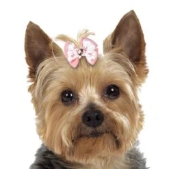 Aria Molly Bows Canister 45 Pc 5 Aria Molly Bows Canister 45 Pc -Pet Care Shop dt5645 45 003