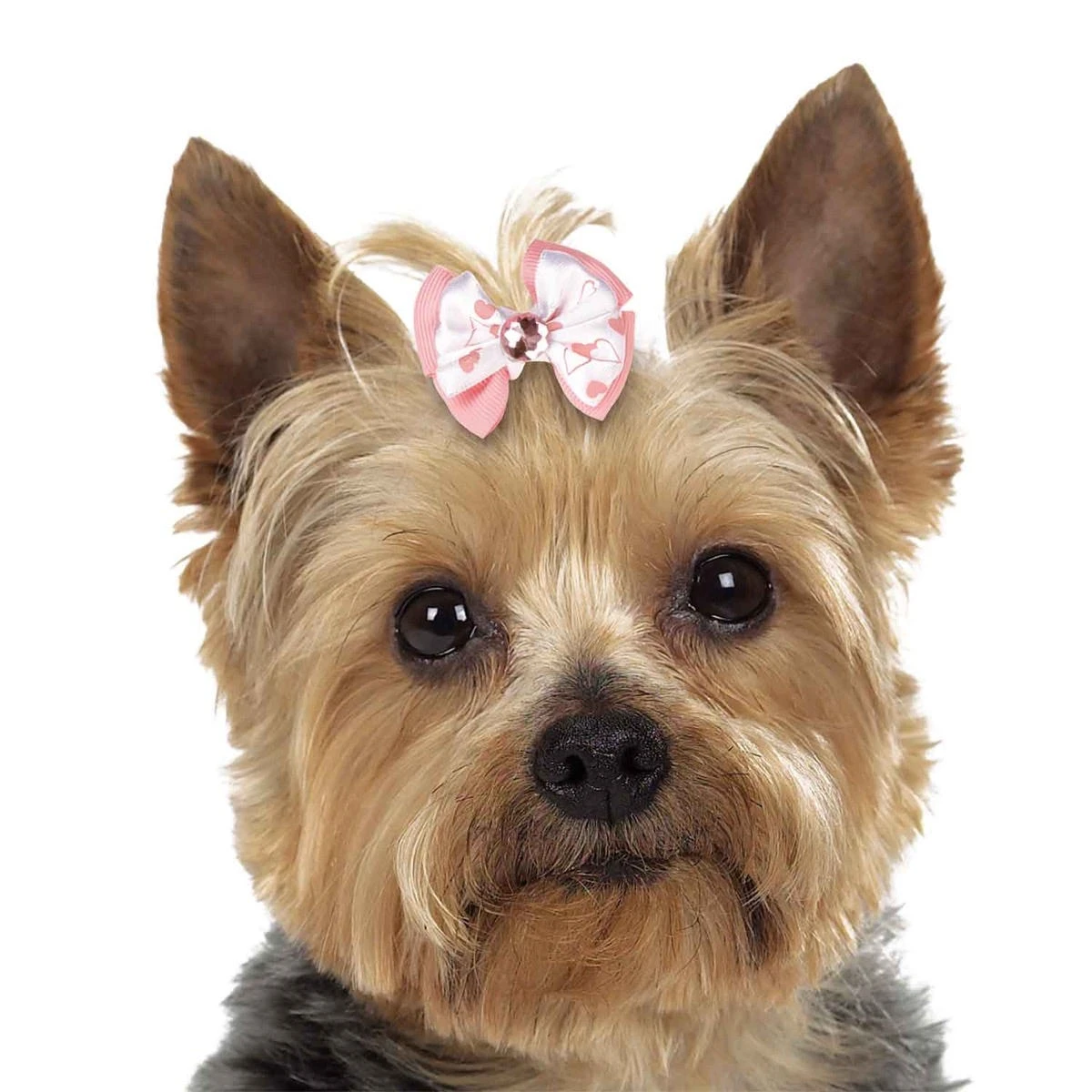 Aria Molly Bows Canister 45 Pc 3 Aria Molly Bows Canister 45 Pc - Image 3