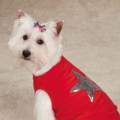 Aria Americana Pup Bow Canister 48 Pieces -Pet Care Shop dt6241 48 004