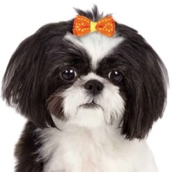 Aria Sunshine Bow Canisters 40 Pcs 5 Aria Sunshine Bow Canisters 40 Pcs -Pet Care Shop dt9516 40 003 1