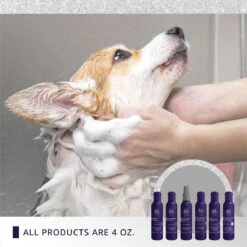 Hydra Experience Sample Set10:1 -Pet Care Shop hsample 05