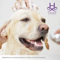 Hydra Experience Sample Set10:1 -Pet Care Shop hsample 06
