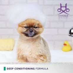 Hydra Flash Thermo Active Mask 11 Hydra Flash Thermo Active Mask -Pet Care Shop hthermomask 06