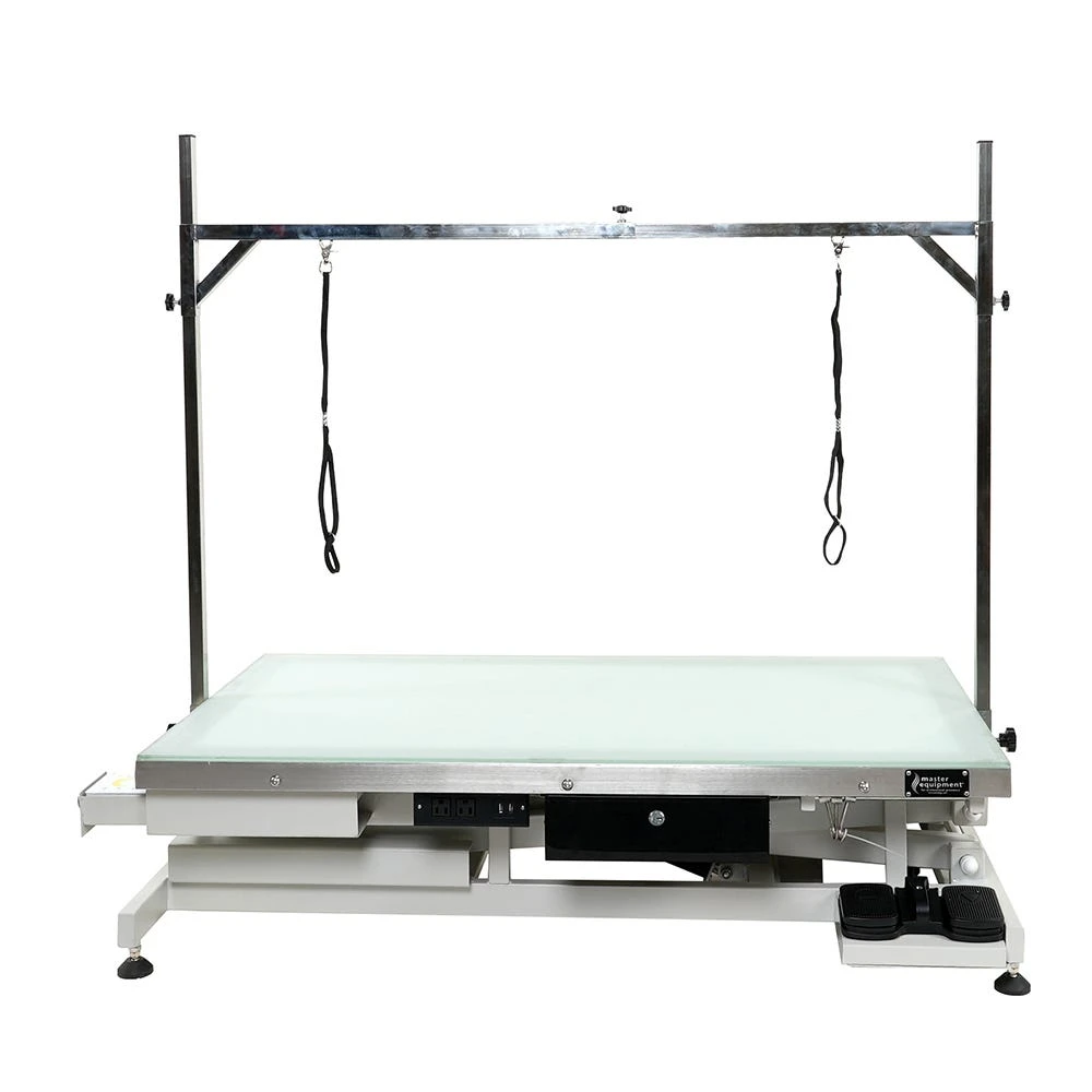 Master Equipment Radiance LED Electric Grooming Table 2 Master Equipment Radiance LED Electric Grooming Table - Image 2