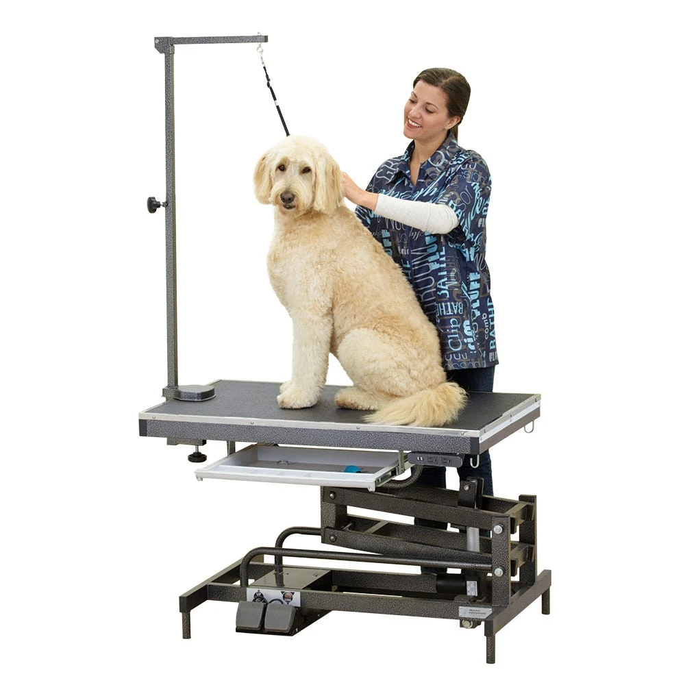 Master Equipment Origin II Electric Grooming Table With Outlets 2 Master Equipment Origin II Electric Grooming Table With Outlets - Image 2