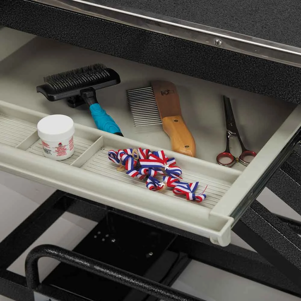 Master Equipment Origin II Electric Grooming Table With Outlets 6 Master Equipment Origin II Electric Grooming Table With Outlets - Image 6