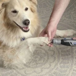 Dremel Cordless Variable Speed Nail Grinder Kit -Pet Care Shop zw7760 36b