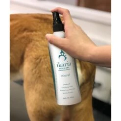 Ikaria Mistral Quick Dry Finishing Spray -Pet Care Shop zx3156 in use